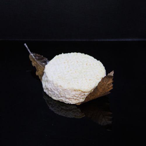 Mothais sur Feuille